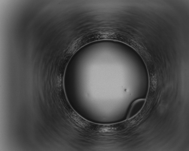 X0000052600657200507160012