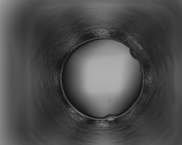 X0000052600658200507160012