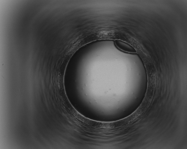 X0000052600659200507160012