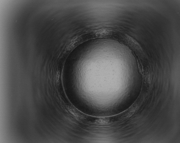 X0000052600660200507160012