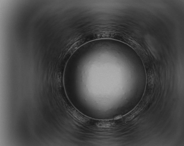 X0000052600661200507160012