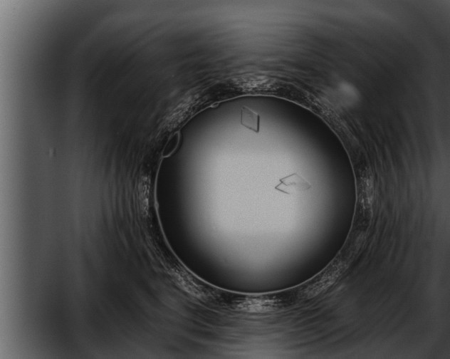 X0000052600664200507160012