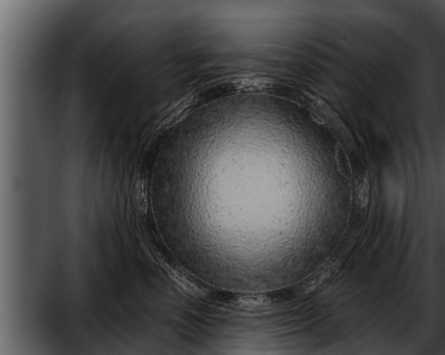 X0000052600666200507160012