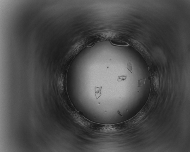 X0000052600668200507160012