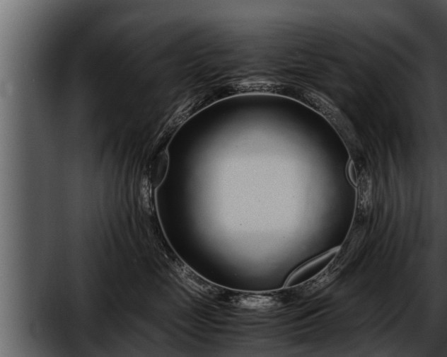 X0000052600669200507160012