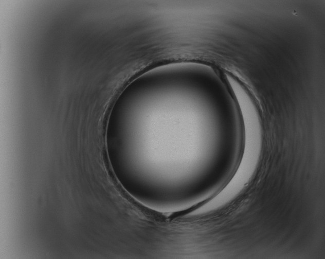 X0000052600673200507160012