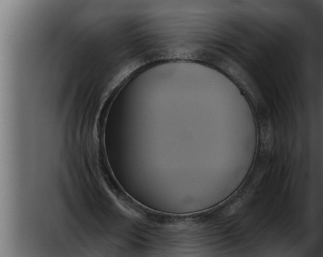 X0000052600674200507160012