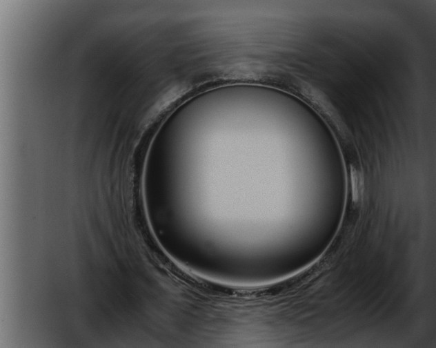 X0000052600675200507160012