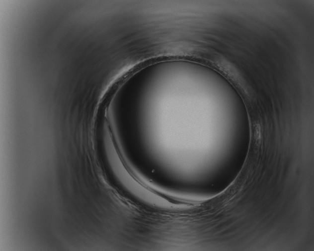 X0000052600676200507160012