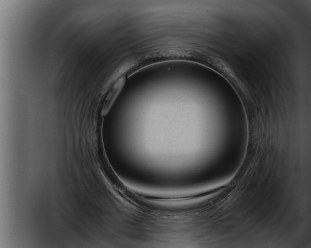 X0000052600677200507160011