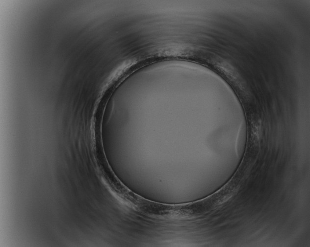 X0000052600678200507160011