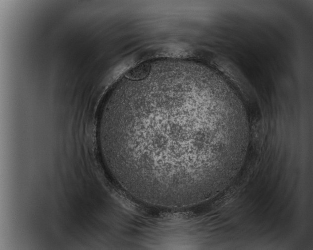 X0000052600679200507160011