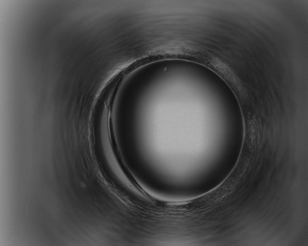 X0000052600680200507160011