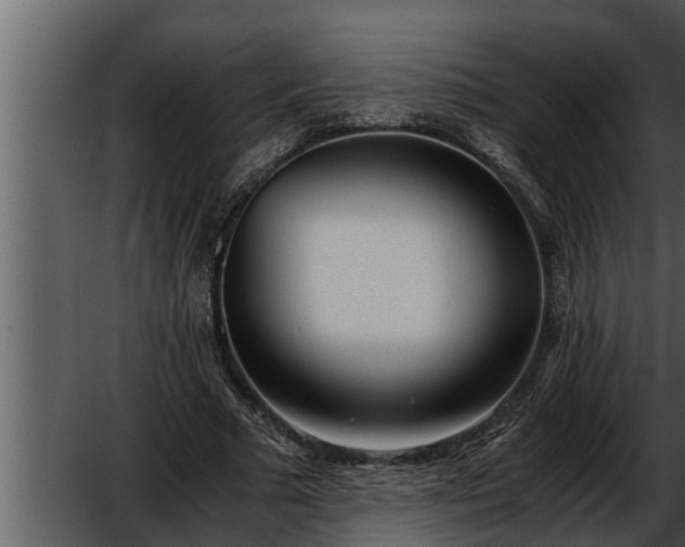 X0000052600681200507160011