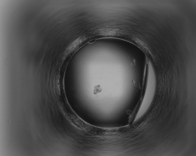 X0000052600682200507160011