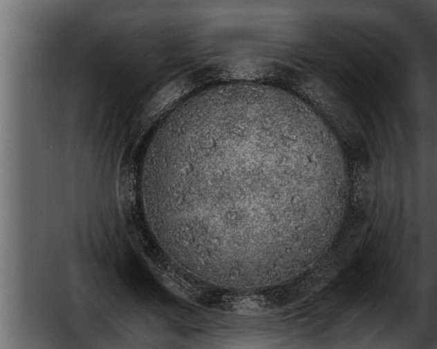 X0000052600683200507160011