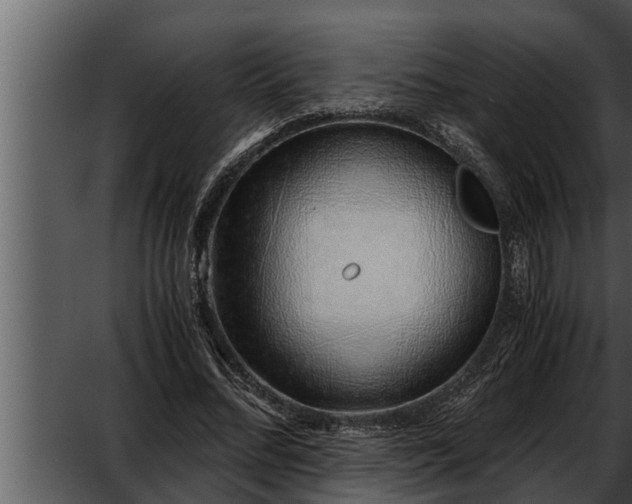 X0000052600684200507160011