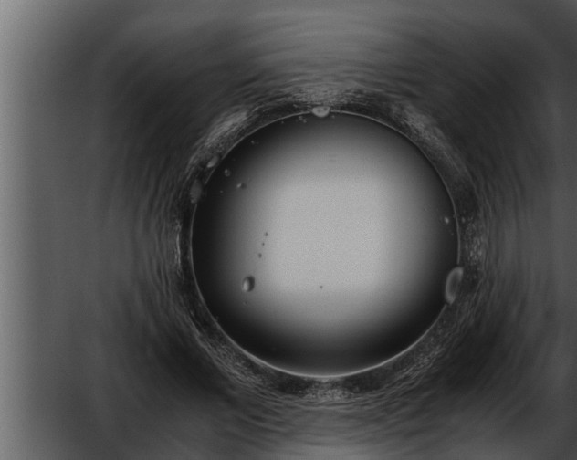 X0000052600685200507160011