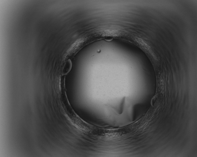 X0000052600686200507160011