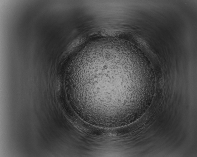 X0000052600687200507160011