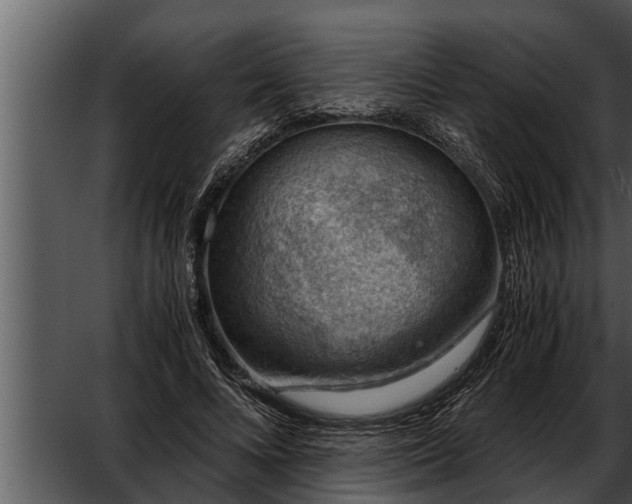 X0000052600688200507160011