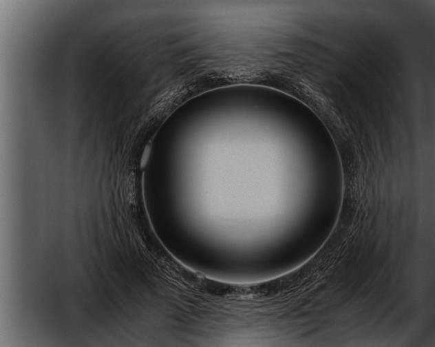 X0000052600689200507160011