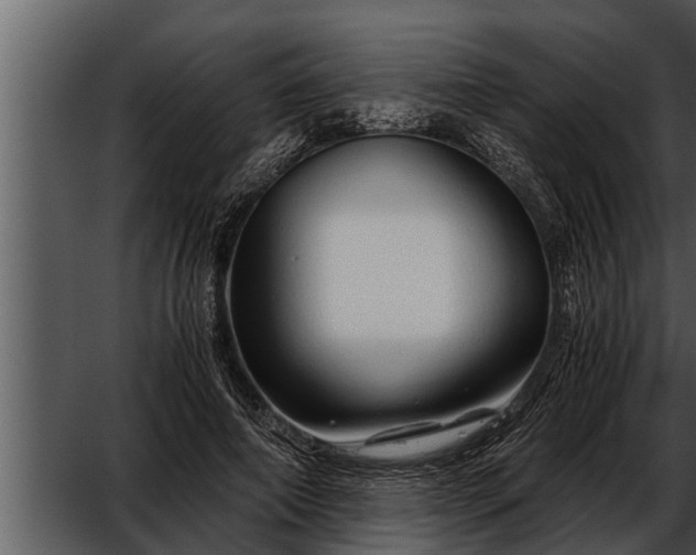 X0000052600690200507160011