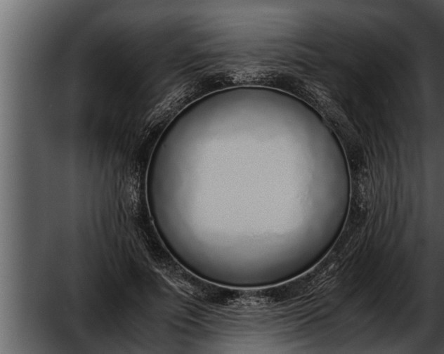 X0000052600691200507160011