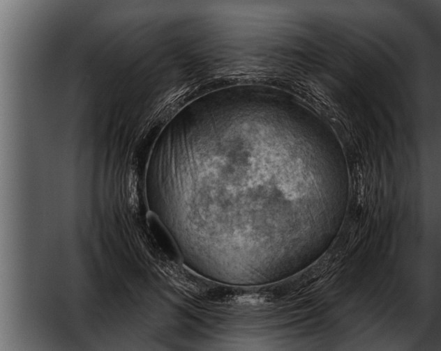 X0000052600692200507160011