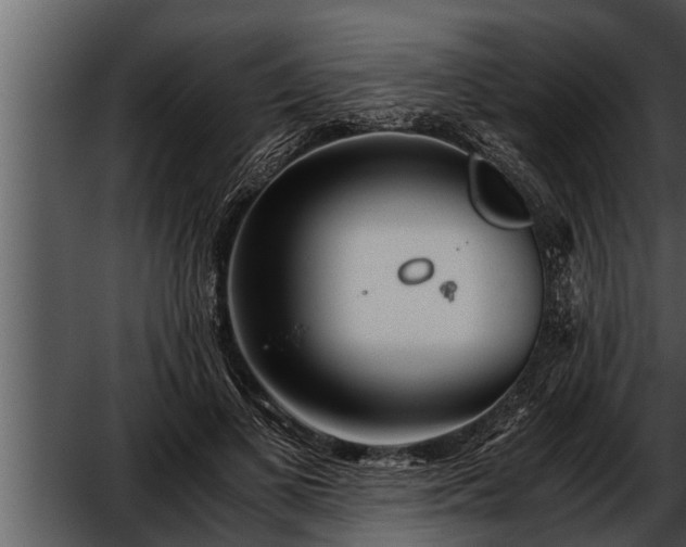 X0000052600693200507160011