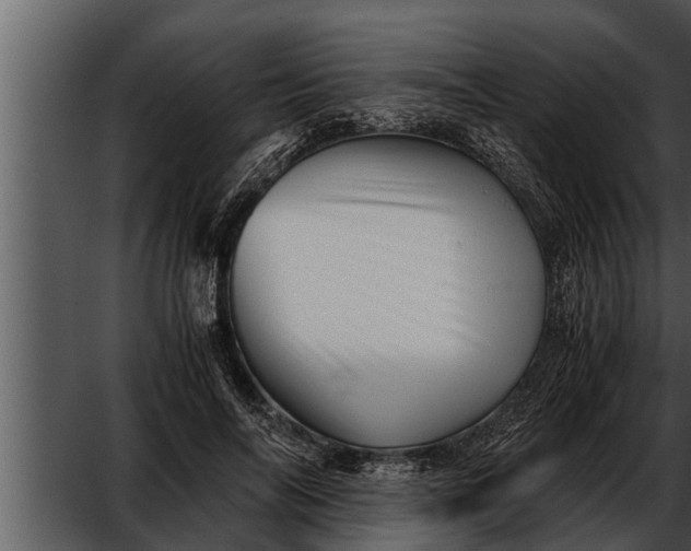 X0000052600694200507160011