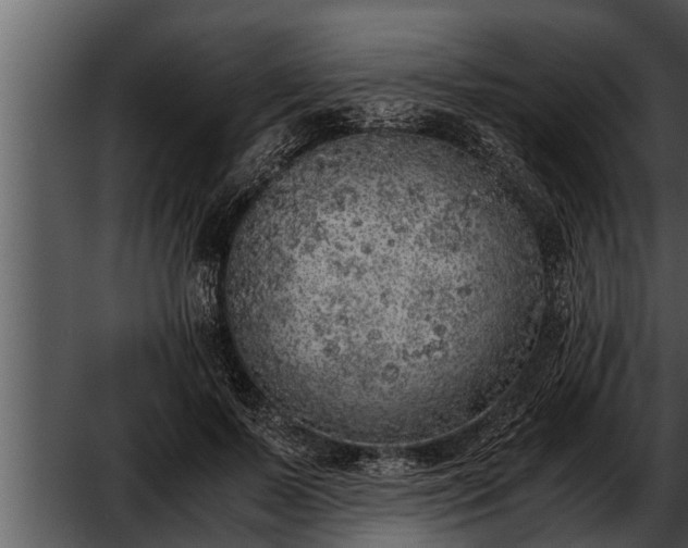 X0000052600695200507160011