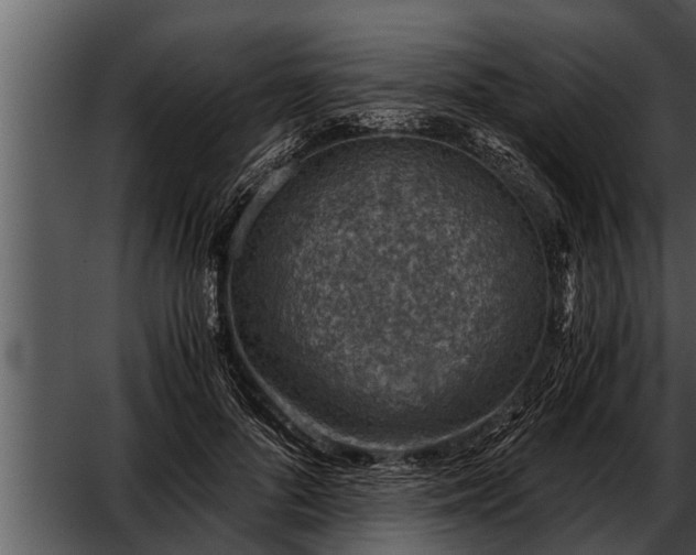 X0000052600696200507160011