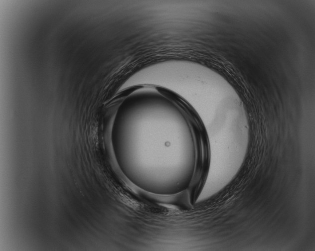 X0000052600697200507160011