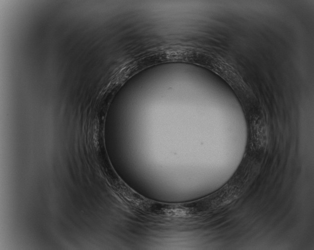 X0000052600698200507160011