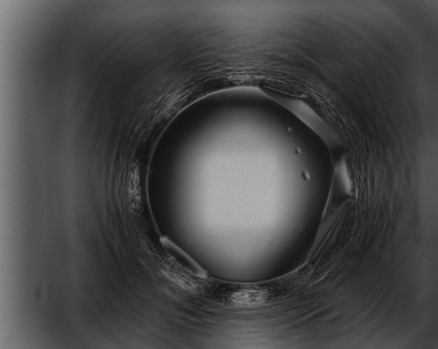 X0000052600700200507160011