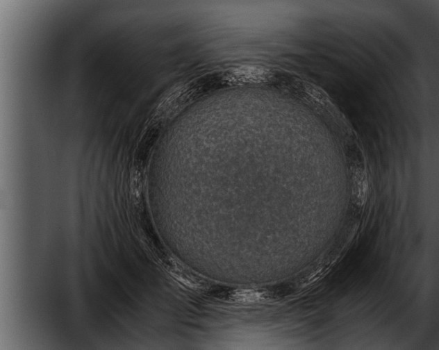 X0000052600701200507160011