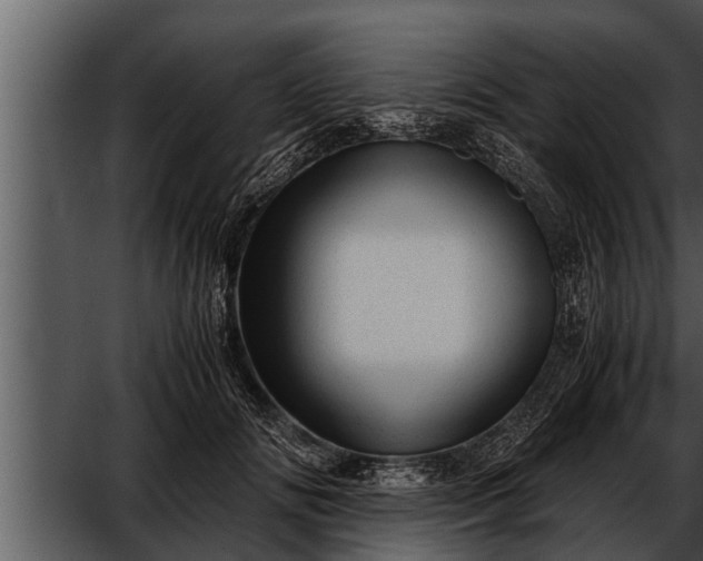 X0000052600702200507160011