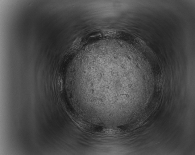 X0000052600703200507160011