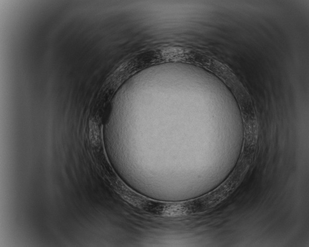 X0000052600705200507160011