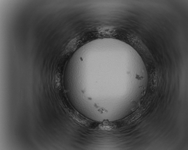 X0000052600706200507160011