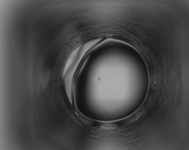 X0000052600707200507160011