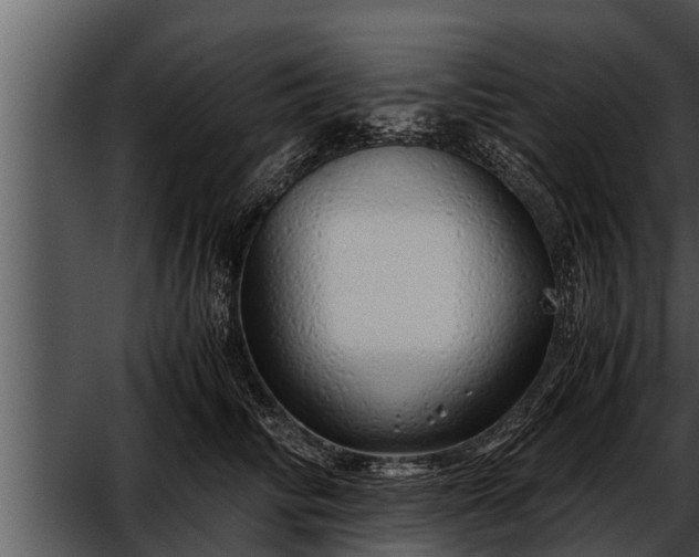 X0000052600710200507160011