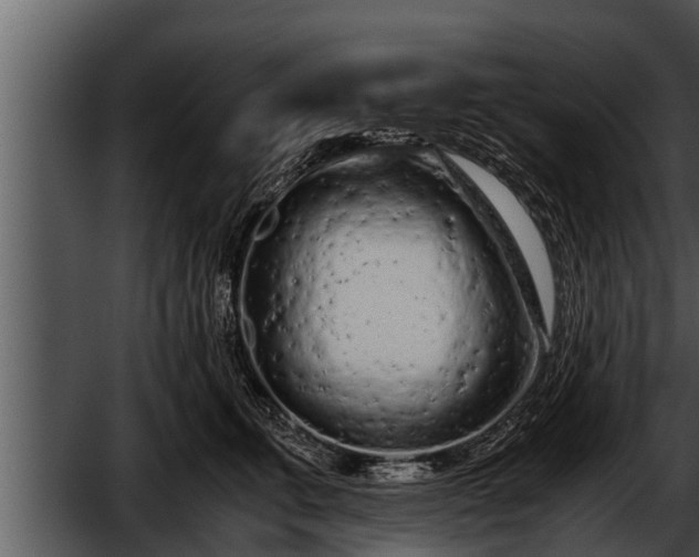 X0000052600711200507160011