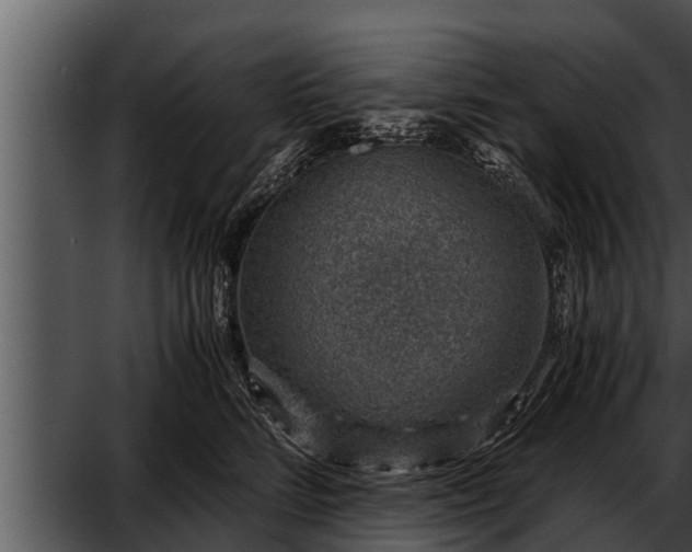 X0000052600712200507160011