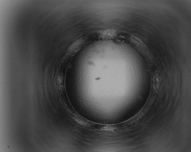 X0000052600714200507160011