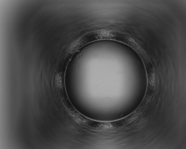 X0000052600715200507160011