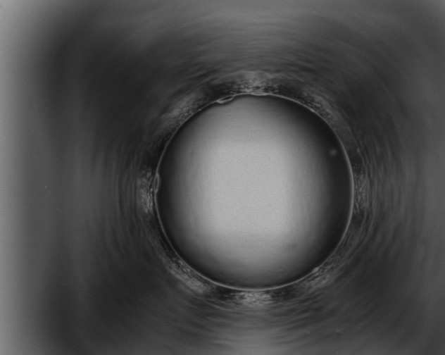 X0000052600719200507160011