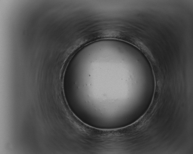 X0000052600721200507160010