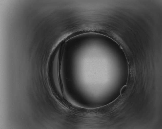 X0000052600722200507160010